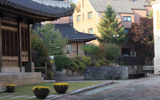 마을 어귀 정자나무의 의미와 역사