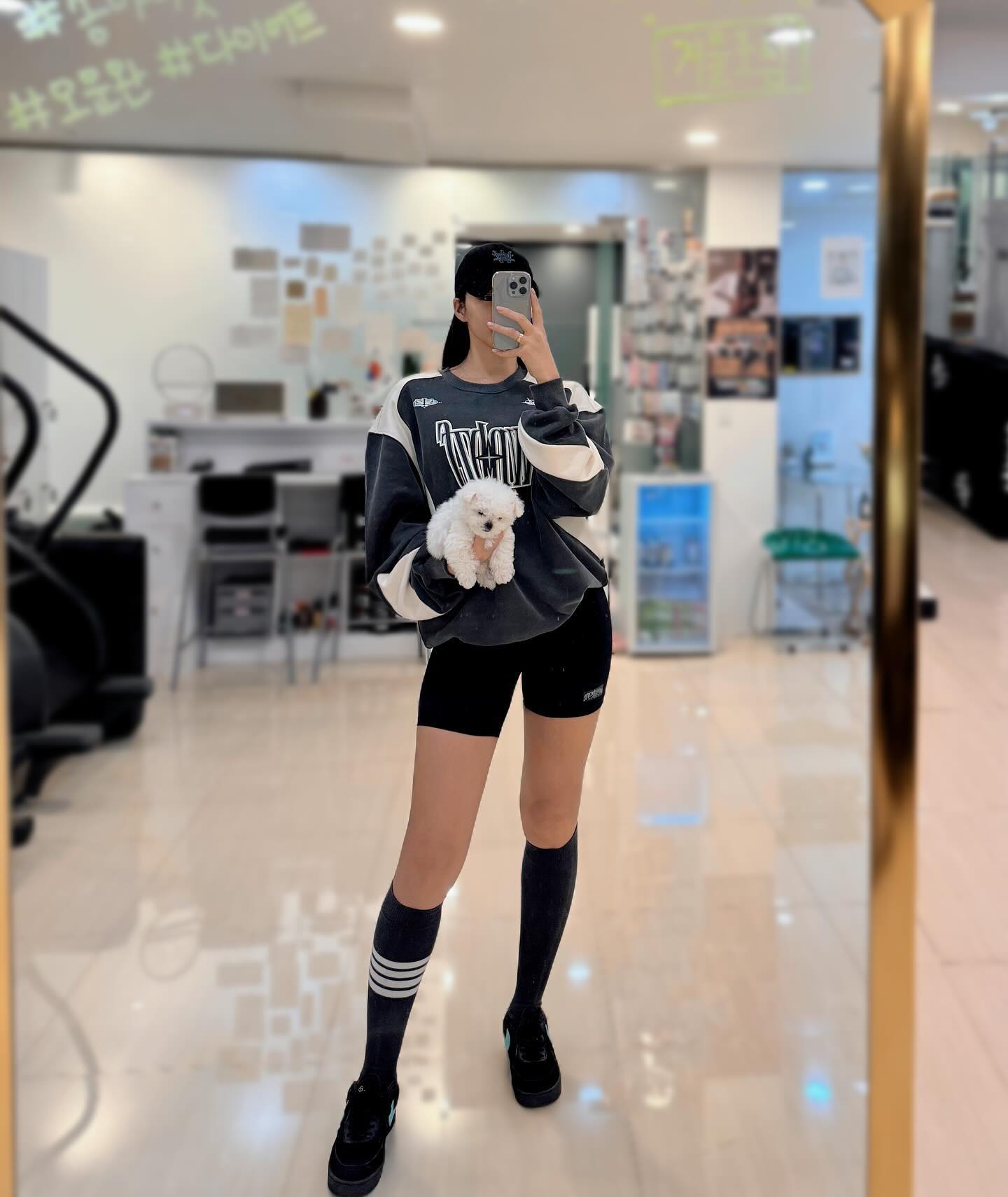 피티니스 모델 이송이