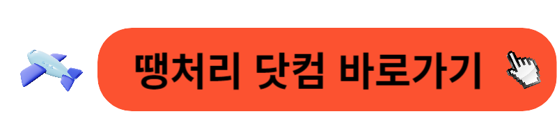 땡처리 항공권