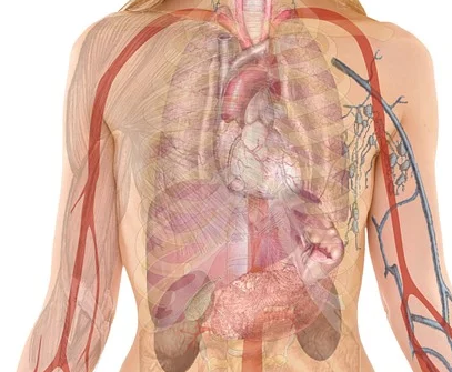 폐섬유증 초기증상과 폐에 좋은 음식1