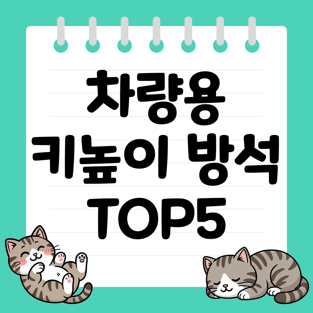 안전한 시야 확보를 위한 차량용 키높이 방석 추천 TOP5