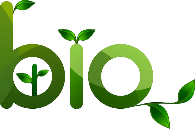 bio 초록색 글자와 새싹