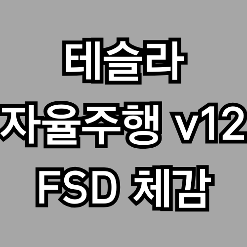 FSD v12, 진짜 달라졌을까? 테슬라 자율주행의 체감 변화 정리 (OTA업데이트)
