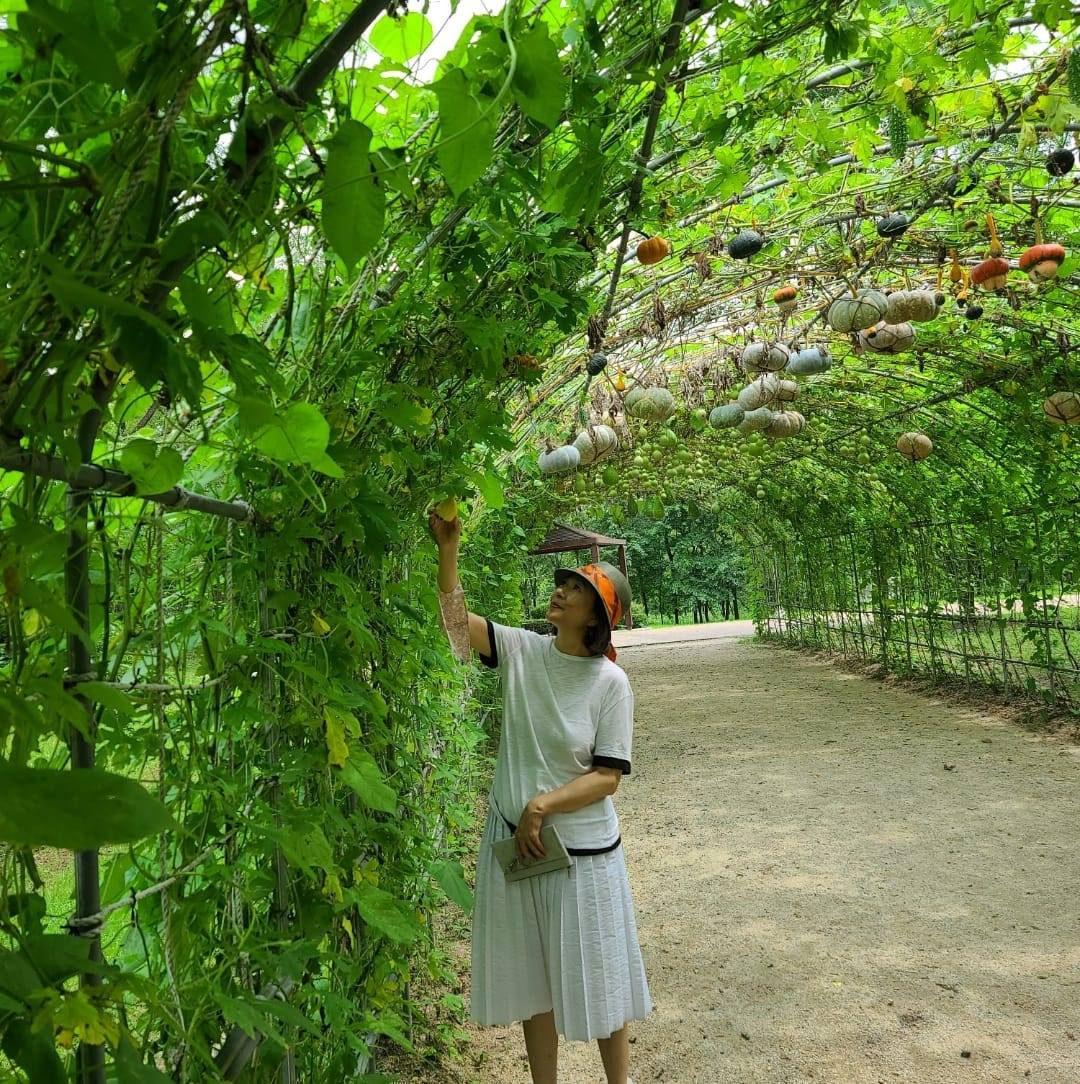 김행 재산 위키트리