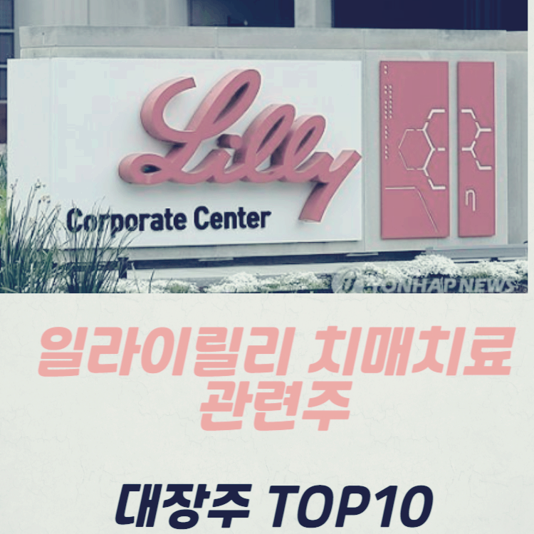 일라이릴리 치매치료제 관련주 대장주 TOP10