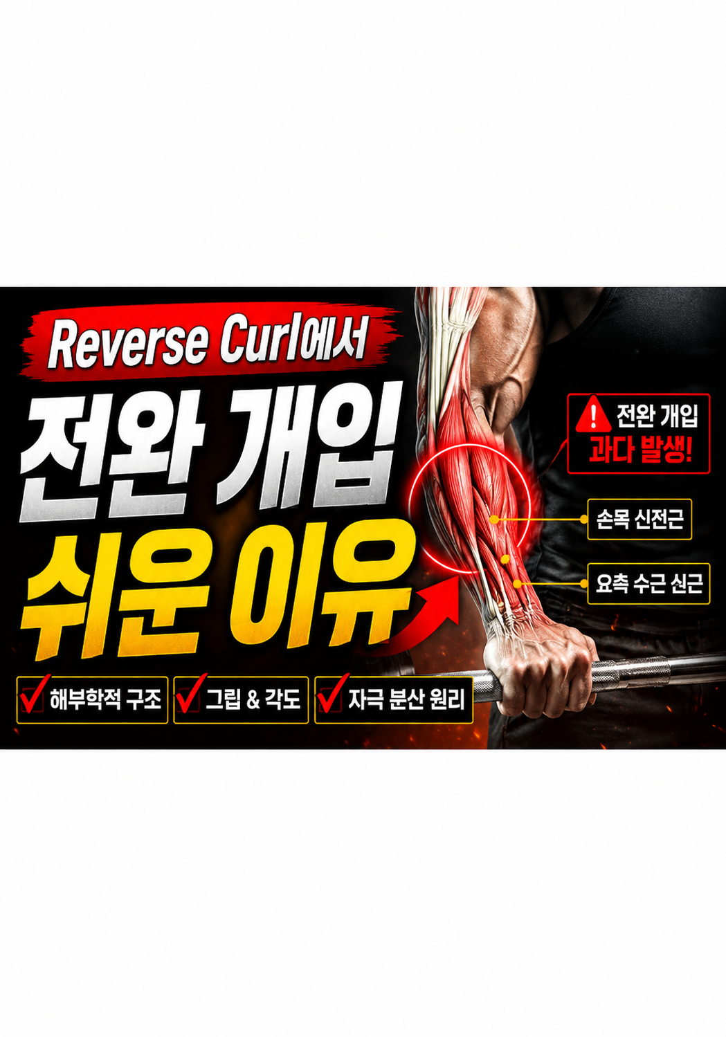Reverse Curl 전완 개입 메커니즘