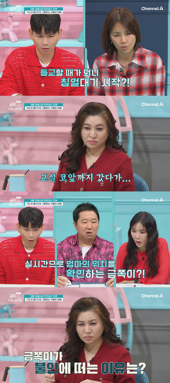 금쪽같은 내새끼 [사진=채널A ]