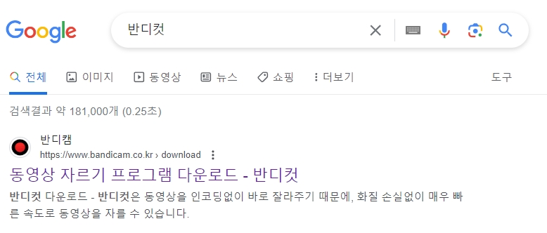 검색 결과에서 확인 가능한 공식 홈페이지 접속 화면