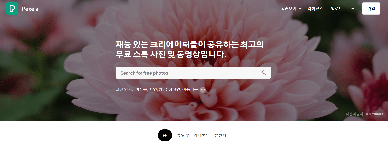 상업용 무료 사이트