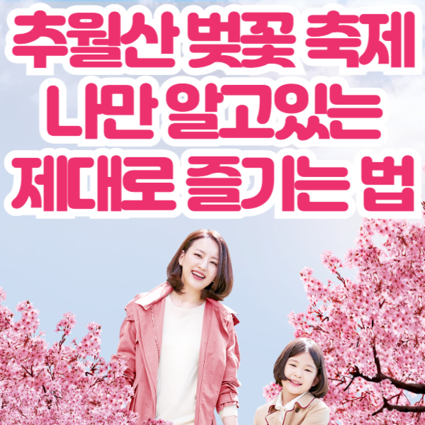 담양 추월산 벚꽃축제