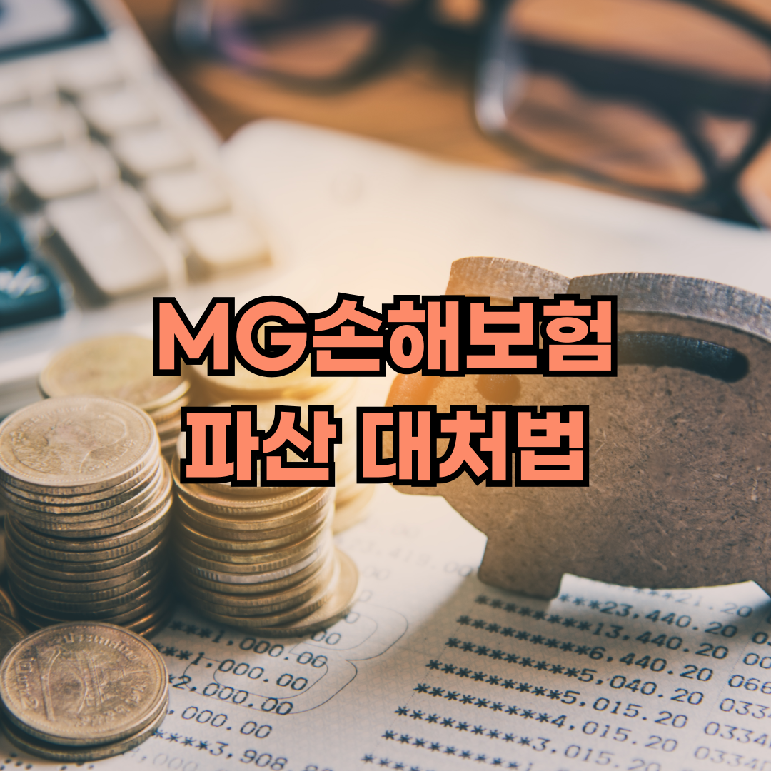 mg손해보험 파산