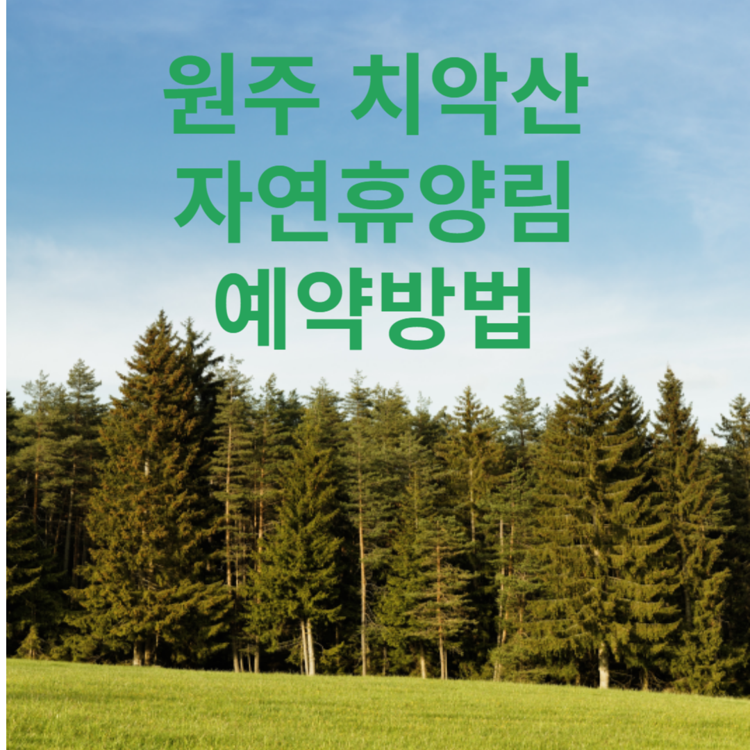 원주-치악산자연휴양림-예약방법