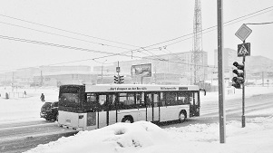 춘천에서-인천공항-버스-시간표-예매