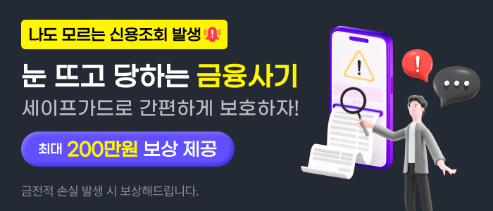 핀브릿지-세이프가드