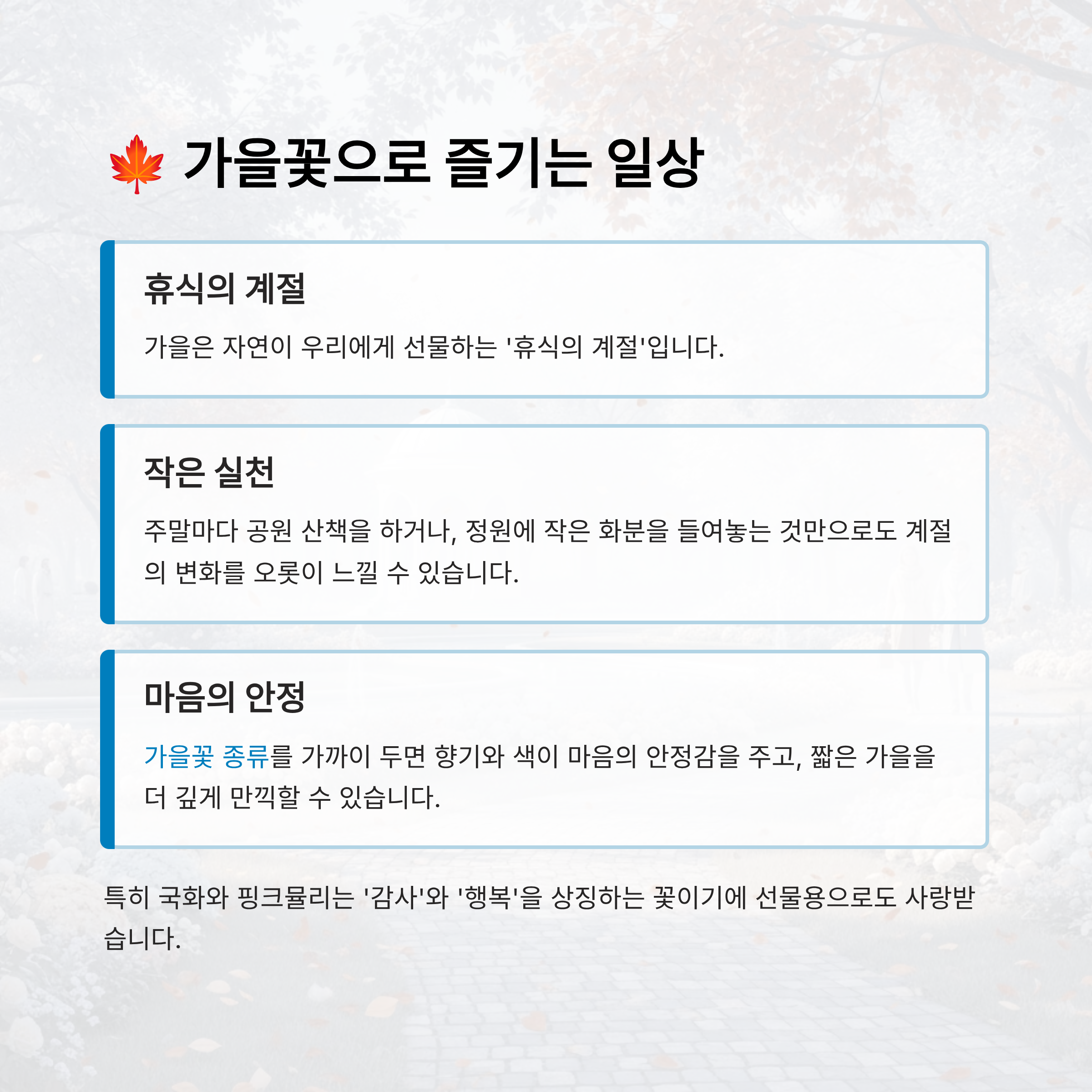 가을꽃 종류 알아보기