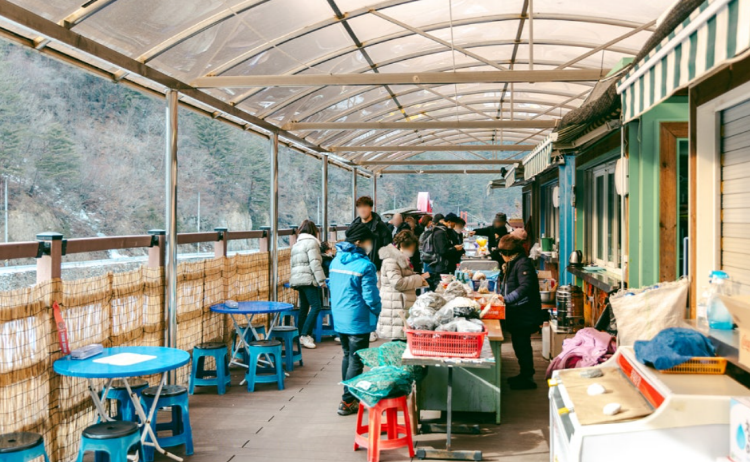 백두대간 협곡열차
