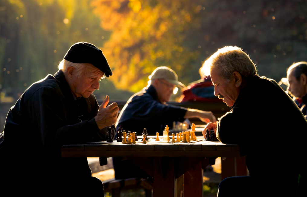 시니어들의 체스 장기를 즐기는 사진