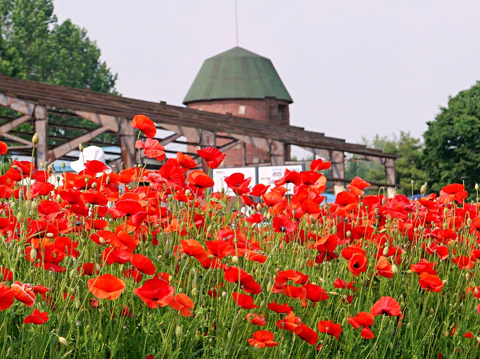 수원 탑동시민농장
