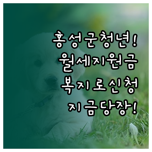 홍성군 청년 월세 지원금 신청 방법 ..