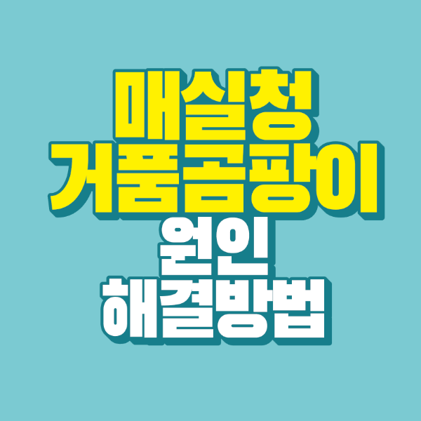 썸네일-매실청-거품-곰팡이-원인-해결-방법