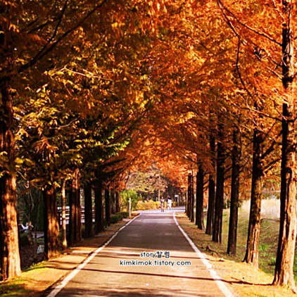 국내 가을 여행지 베스트 50