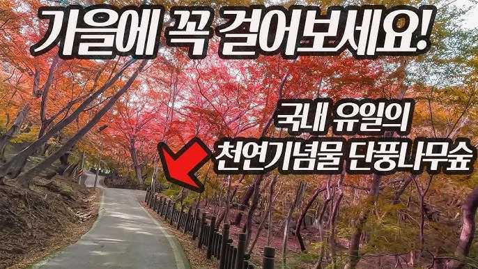 걷기 좋은 명품 숲길 50선 전국 서울 경기_3