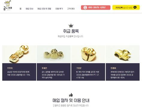 금니가격