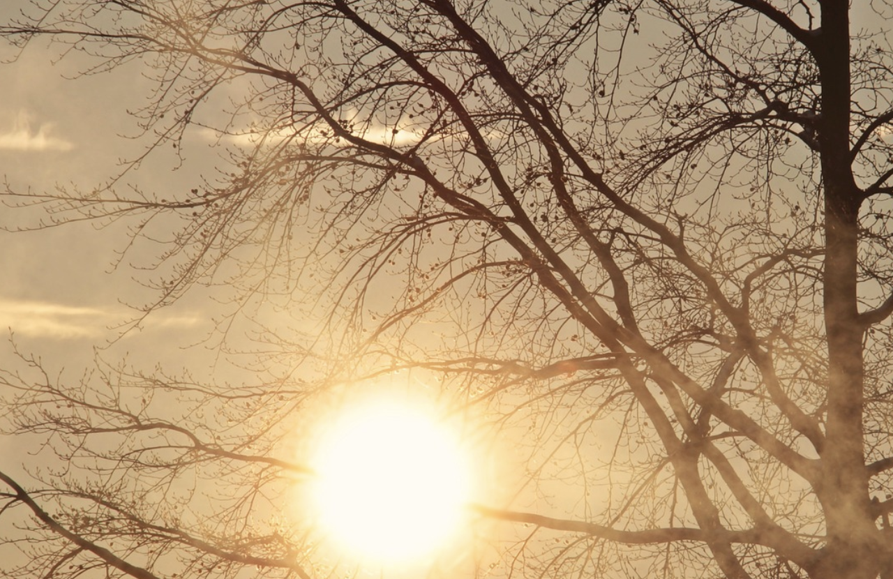 소아 갑상선 질환