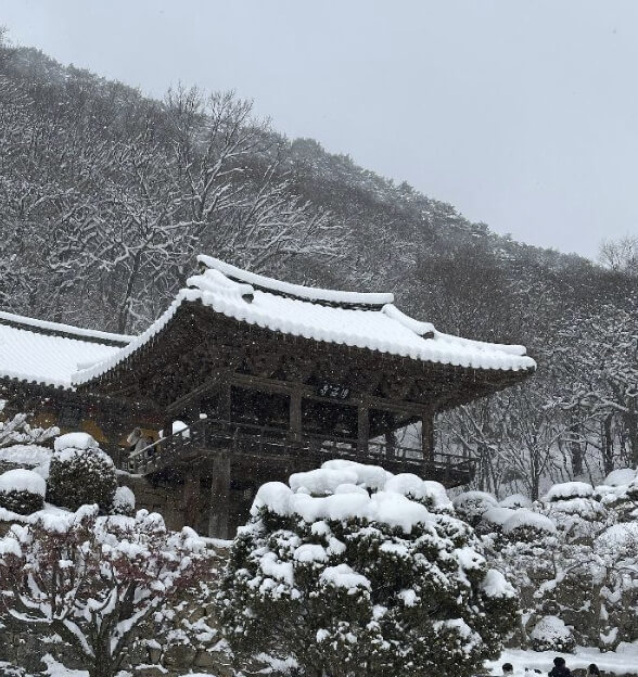 2월 국내 여행지 베스트 10