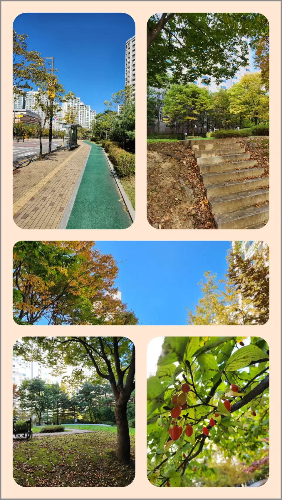 갤럭시-콜라주-이미지