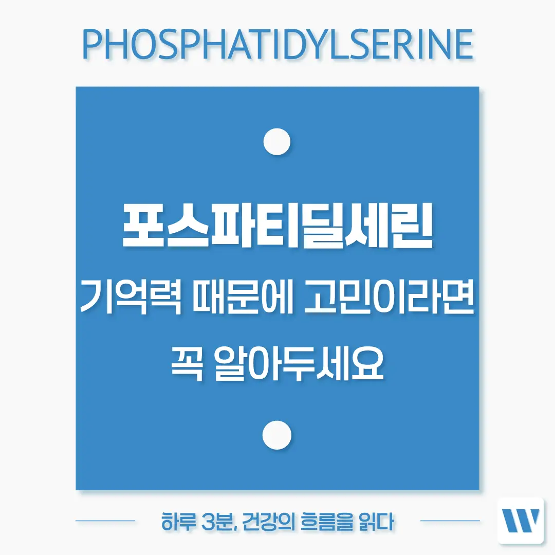 포스파티딜세린 복용법 부작용