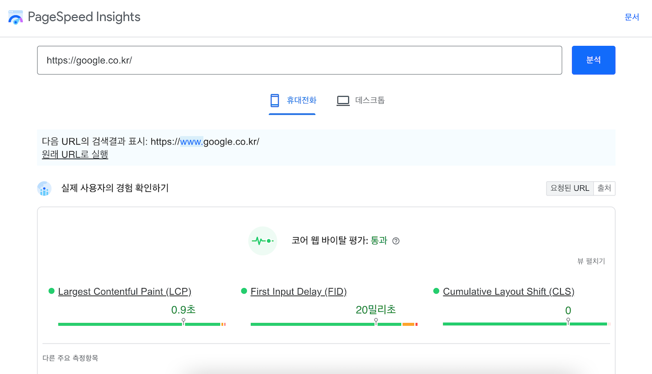 PageSpeed Insights(페이지스피드 ​​인사이트)