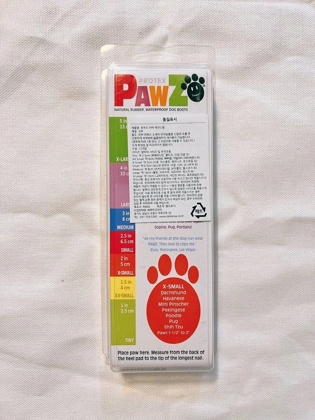 포우즈-강아지-신발