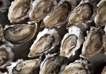 10월-제철-해산물