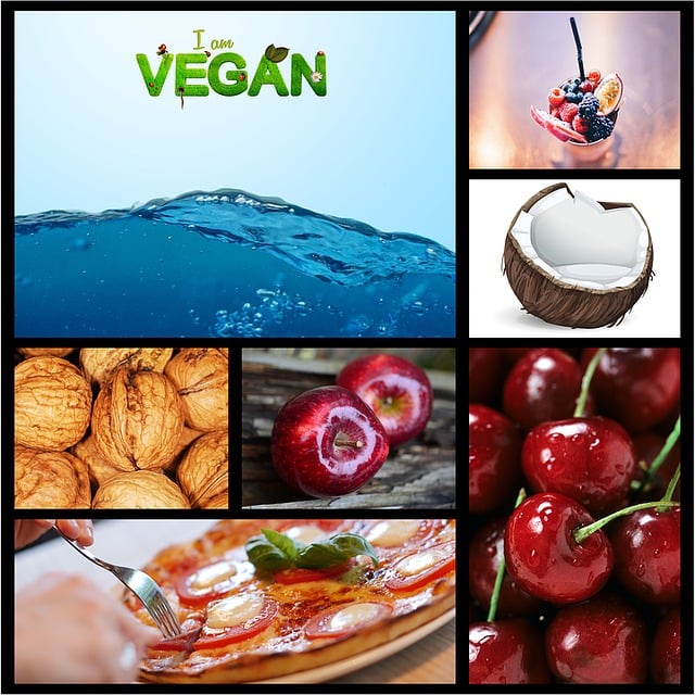 비건 &amp; 친환경 라이프를 위한 추천