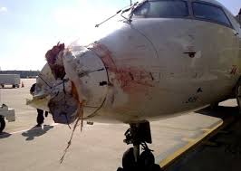 무안 비행기 사고 원인 대참사 제주항공 보잉