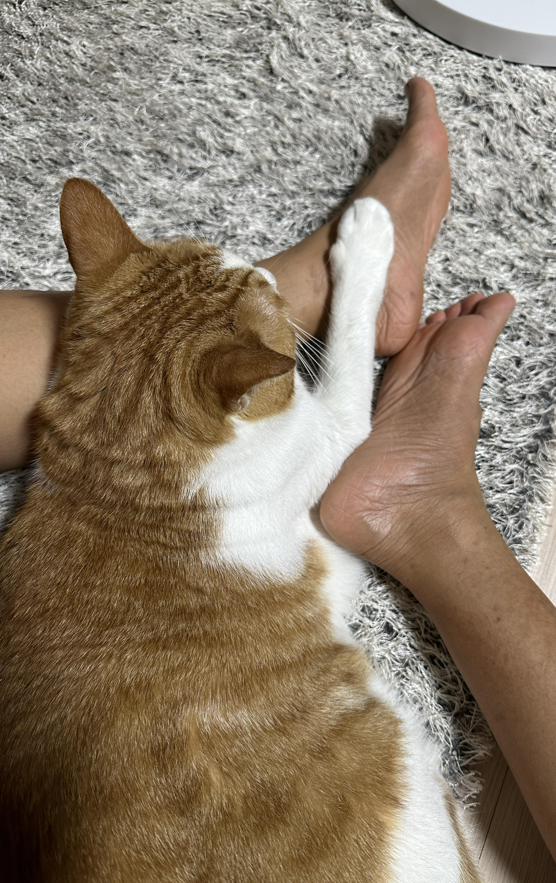 엄마를_너무_좋아하는_막둥이