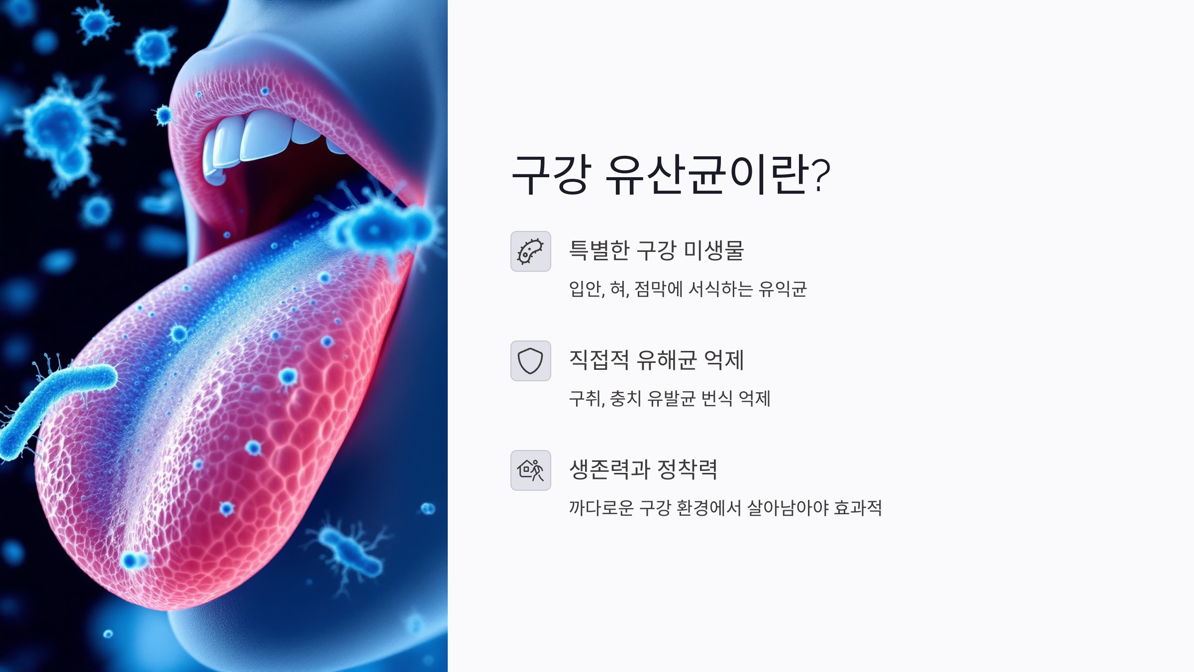 입냄새&middot;충치&middot;잇몸병까지? 구강 유산균의 놀라운 효과와 선택법