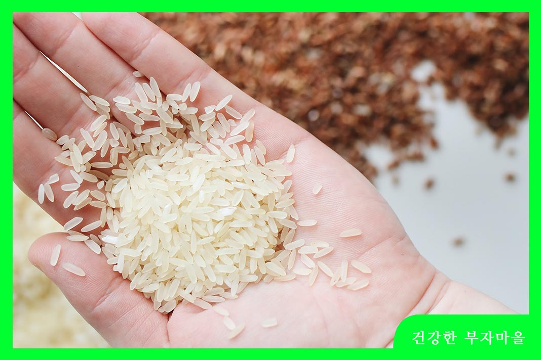 혈당 낮추는 방법 - 탄수화물 음식 줄이기