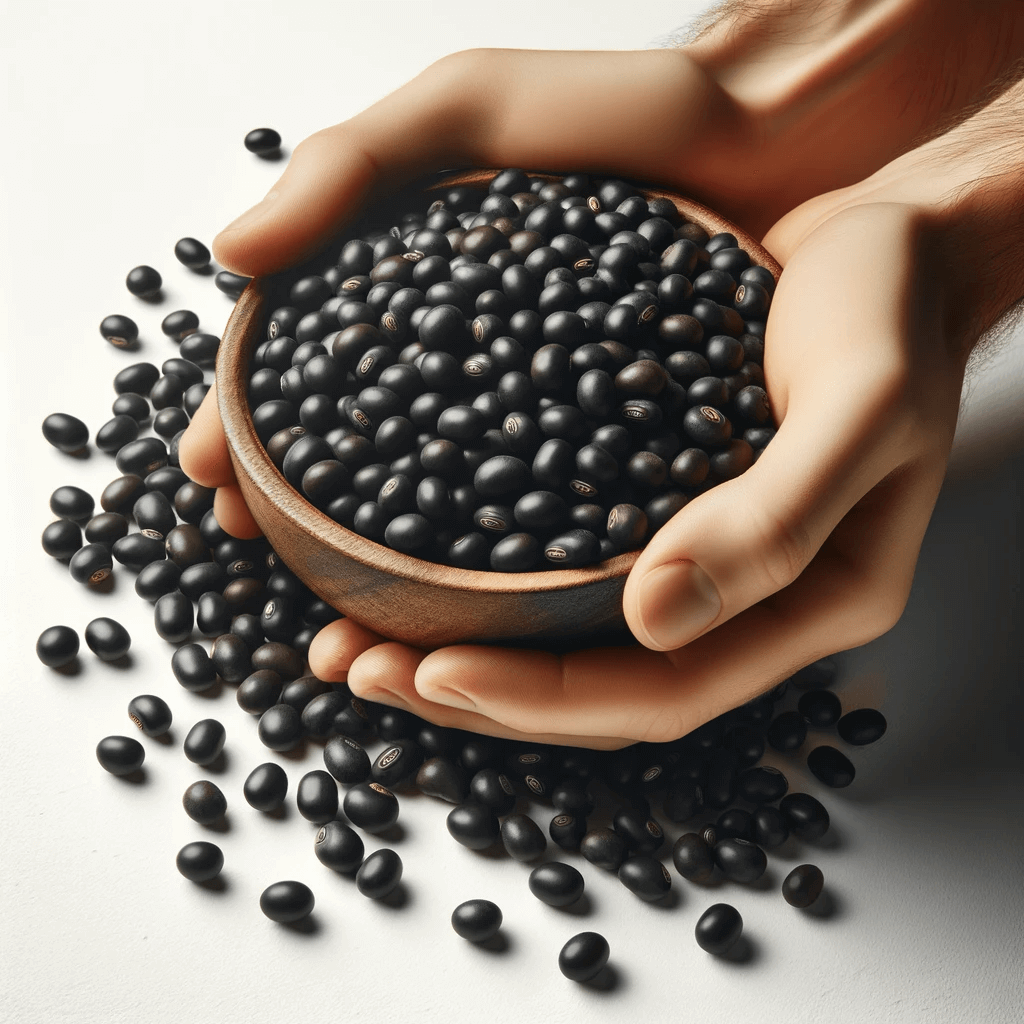 검정콩