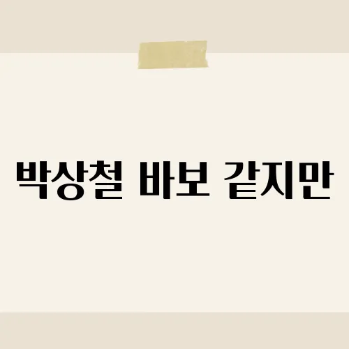 박상철 바보 같지만, 숨은 명곡?