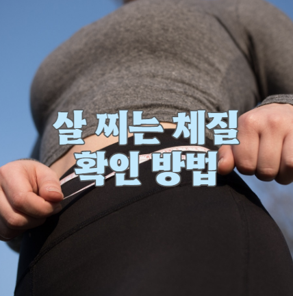 살 찌는 체질 확인 방법
