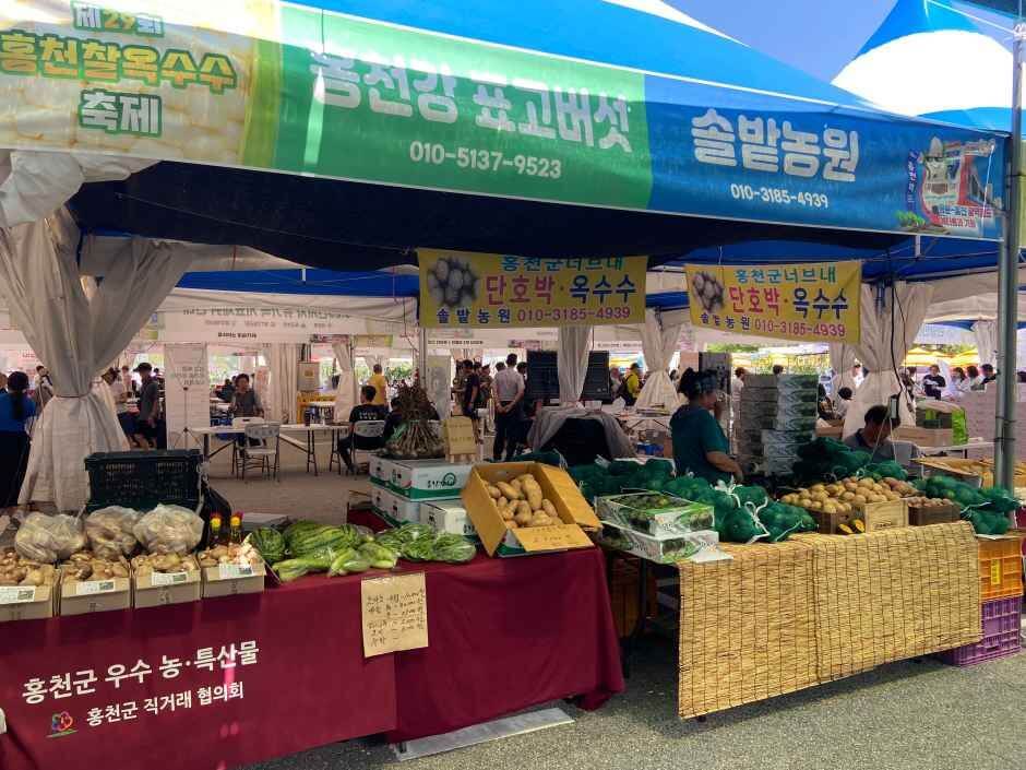 홍천 찰옥수수 축제 2026