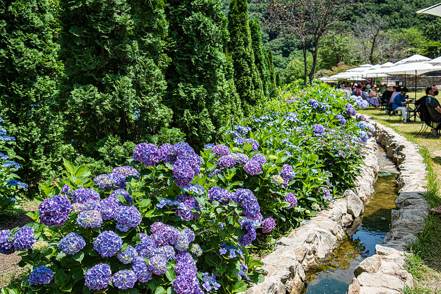 특색 있고 아름다운 민간 정원 30선 추천 여행 - 14. 고성 그레이스 정원