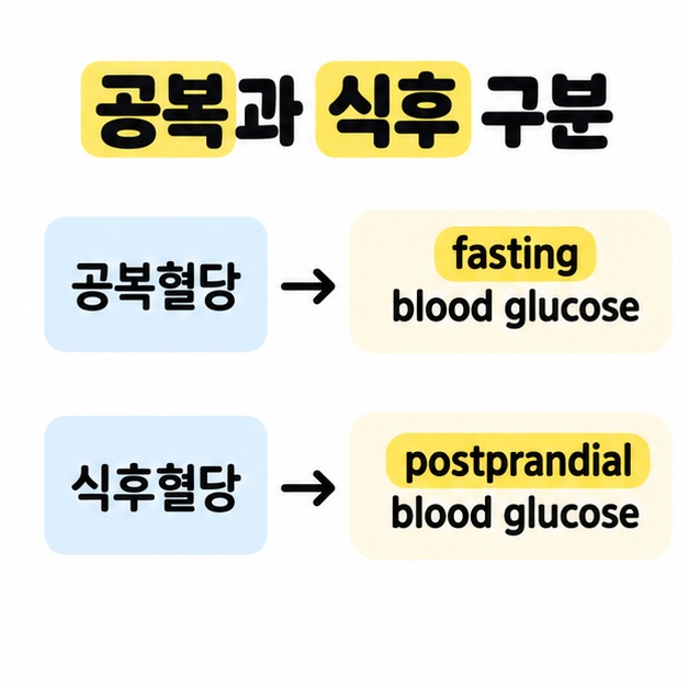 공복혈당을 fasting blood glucose, 식후혈당을 postprandial blood glucose와 각각 대응시킨 도식