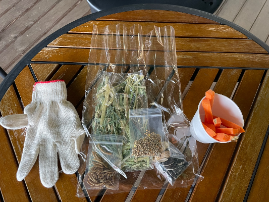 파주 동화힐링캠핑장 카라반 글램핑