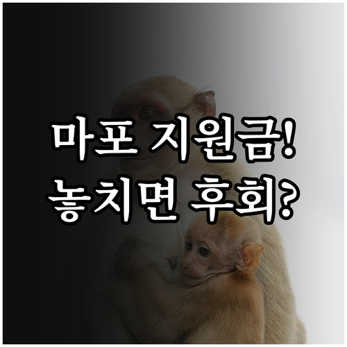 2025 마포구 한부모가족 명절 지원..