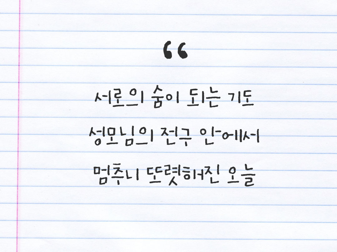 2025년 12월 29일 피어나네 감사노트|일상을 행복으로 바꾸는 기록 하루 3줄 감사일기