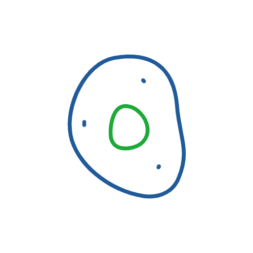 삼성바이오로직스 주가 전망 및 배당금