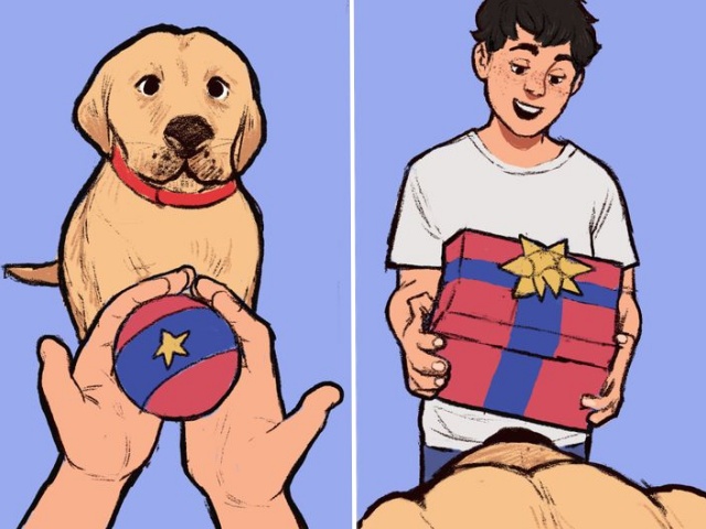 개 공놀이 좋아하는 이유,반려견 행동의미, 생활 팁줌 매일꿀정보